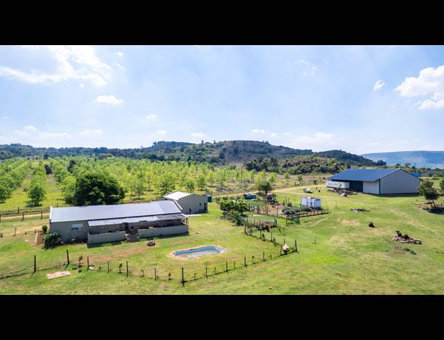 FARM FOR SALE IN HEIDELBERG AH